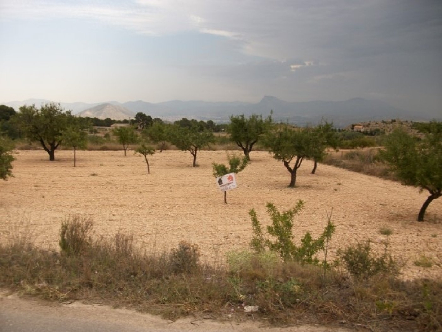  till salu tomt Cases De Sanchis Vinalopó Mitjà 8