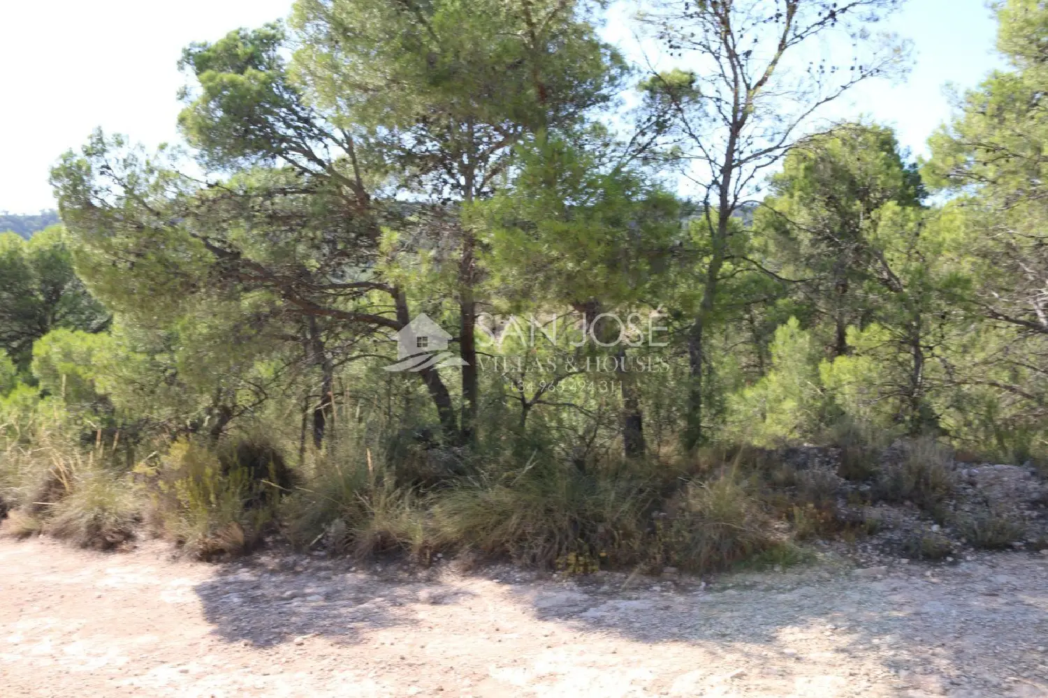 till salu tomt Cases De Sanchis Vinalopó Mitjà 2