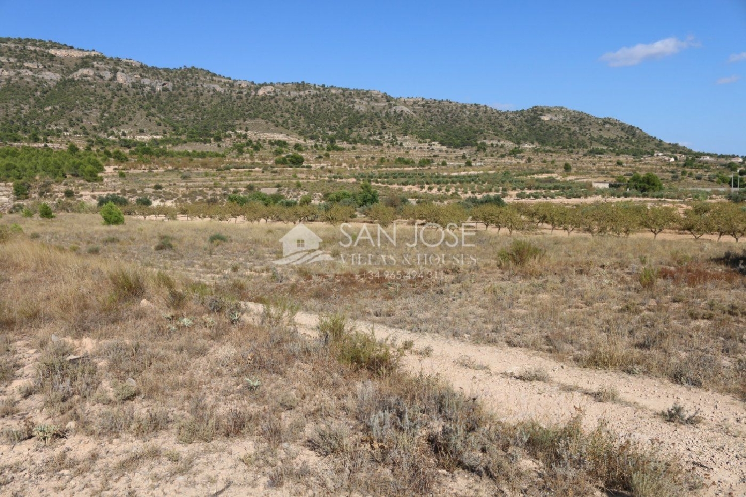  till salu tomt La Romaneta Vinalopó Mitjà 4