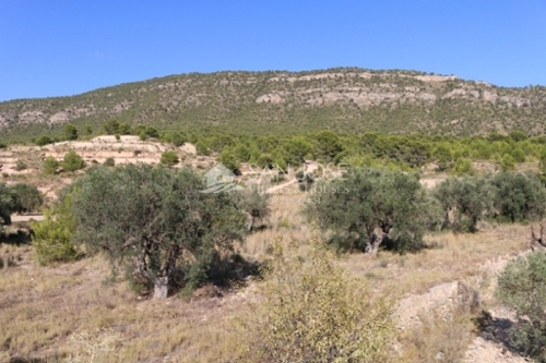 La Romaneta Vinalopó Mitjà tomt foto 6227237