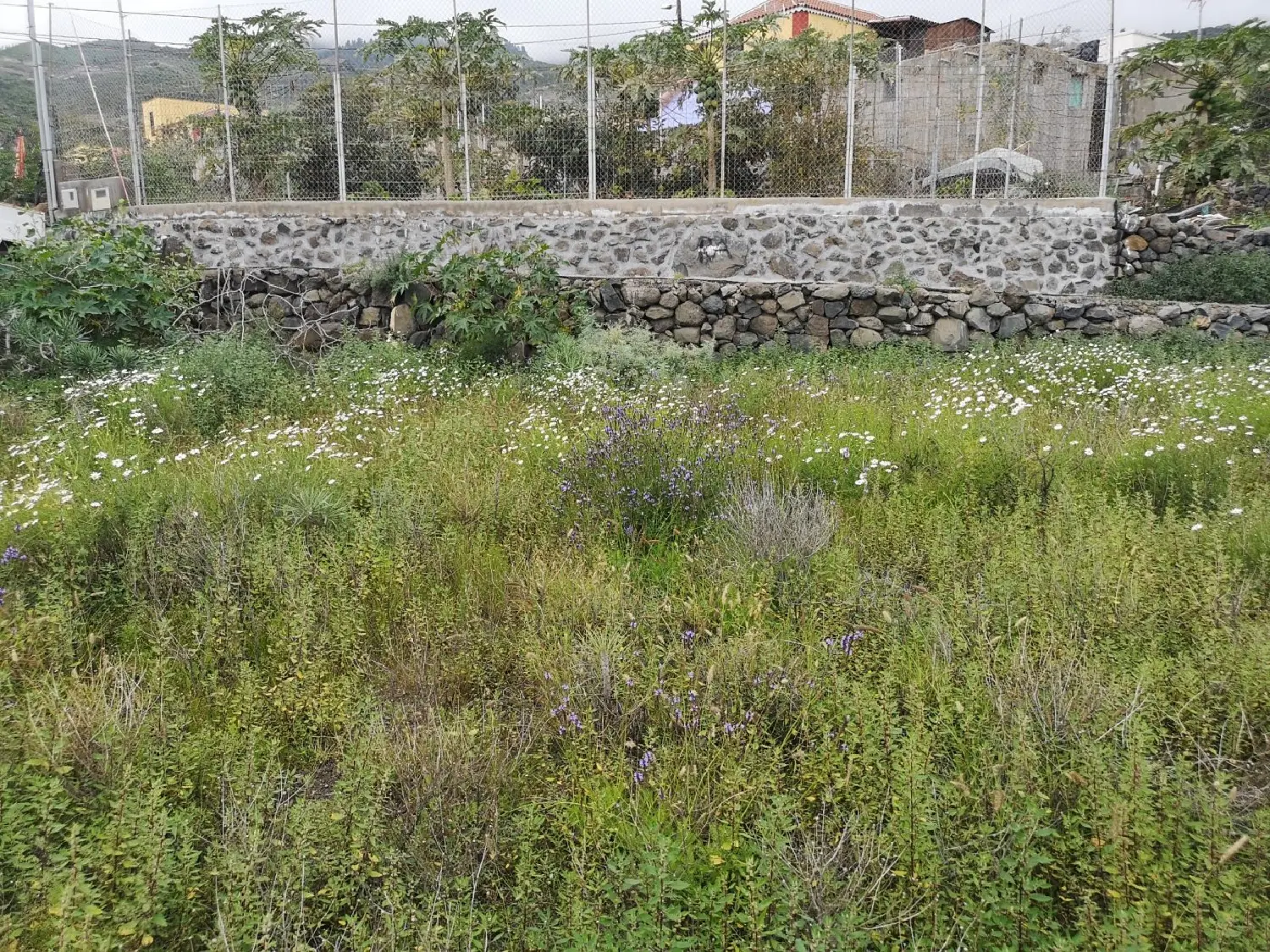  till salu tomt Los Gavilanes Zona Sureste 1