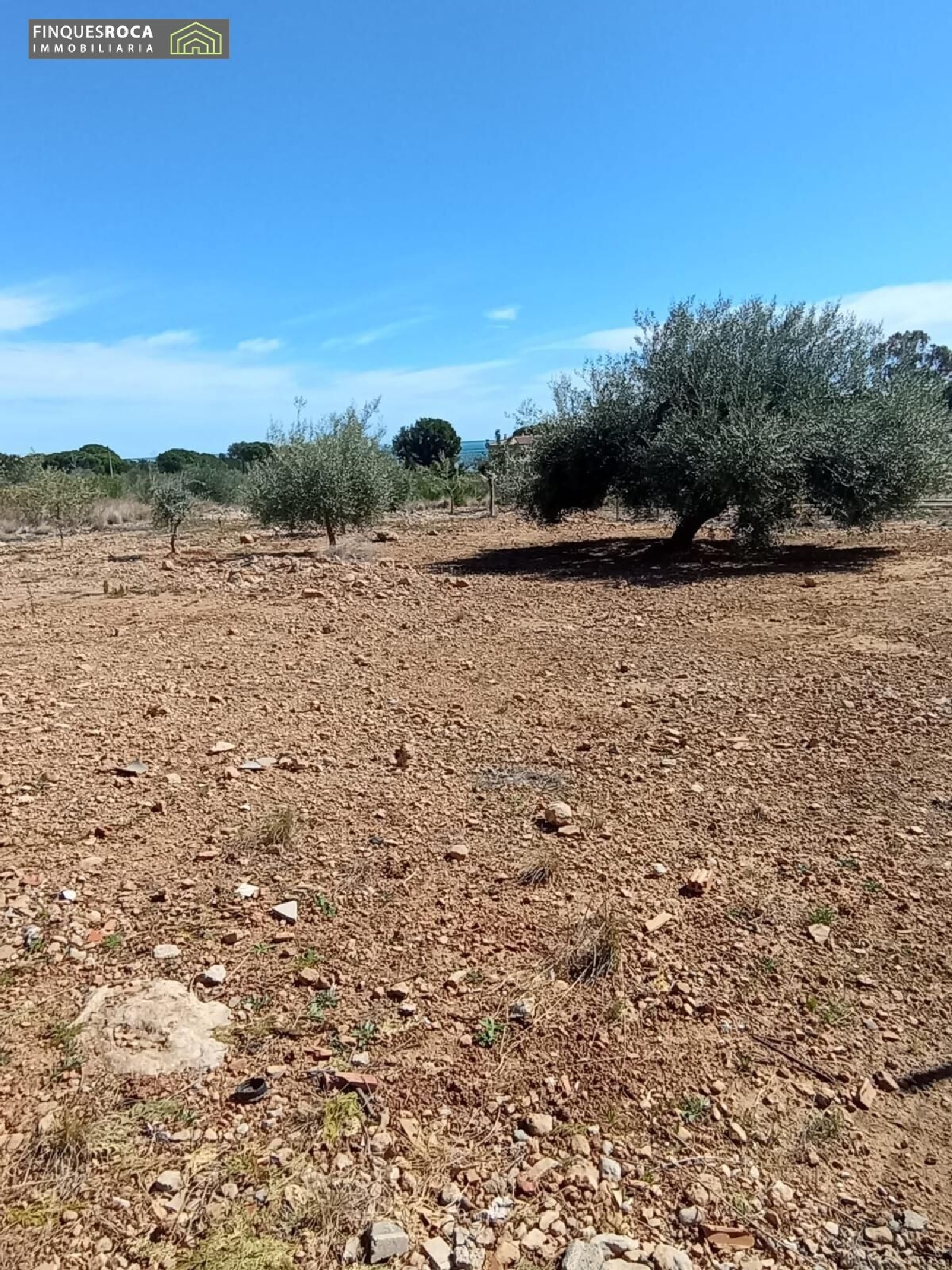 till salu tomt La Selleta Montsià 2