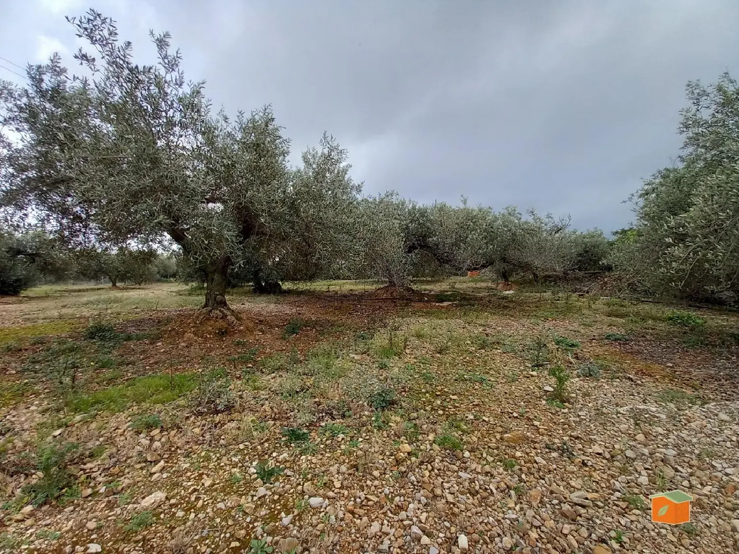  till salu tomt Alcanar-Platja Montsià 1