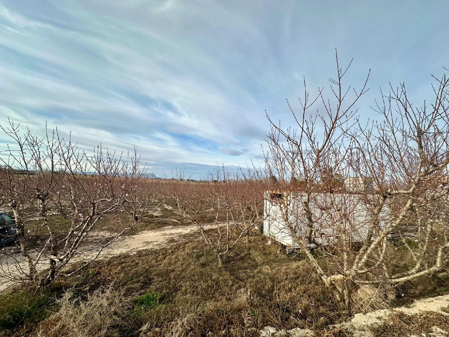 till salu tomt La Torre Vega Alta Del Segura 3