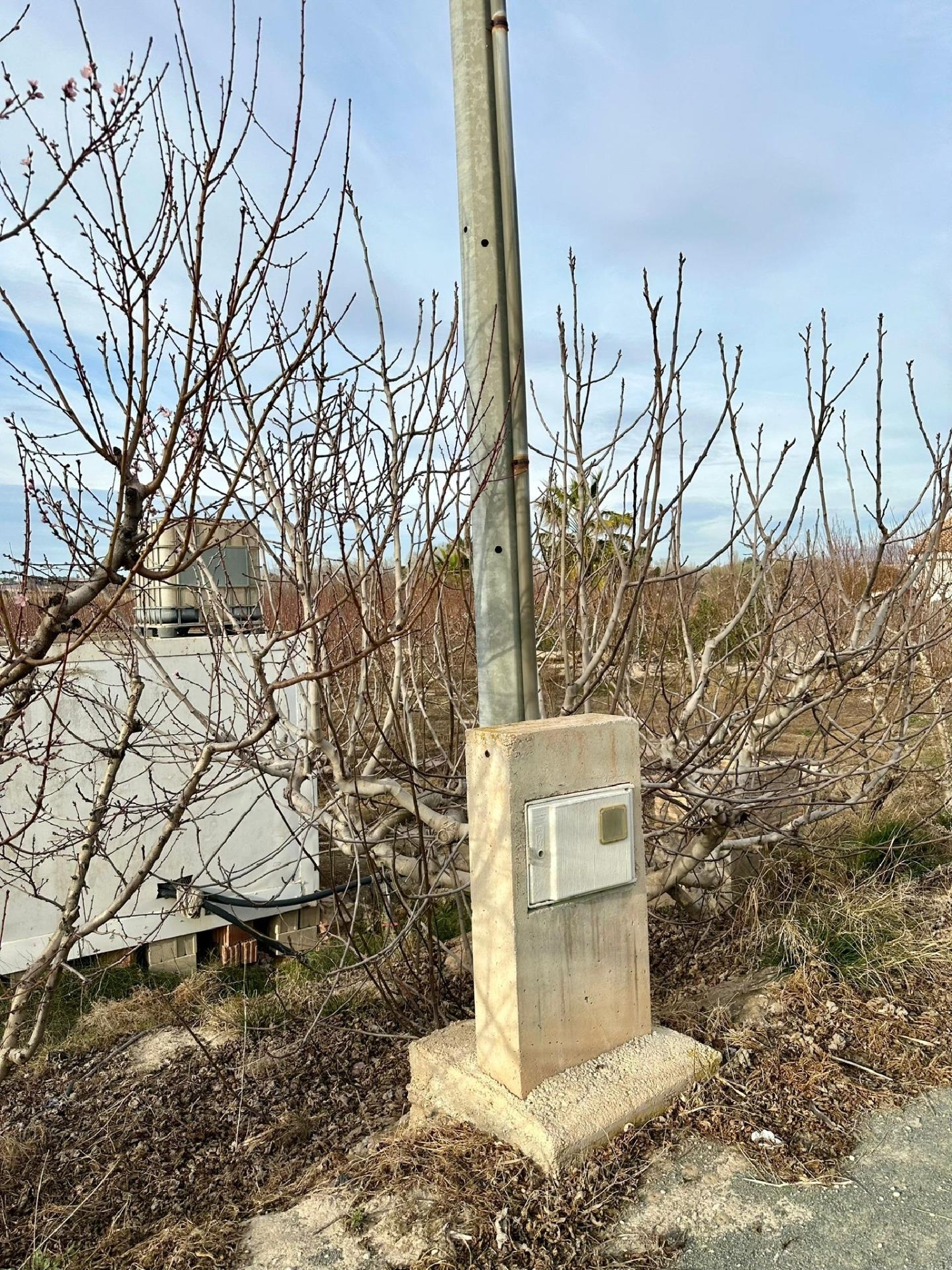  till salu tomt La Torre Vega Alta Del Segura 5