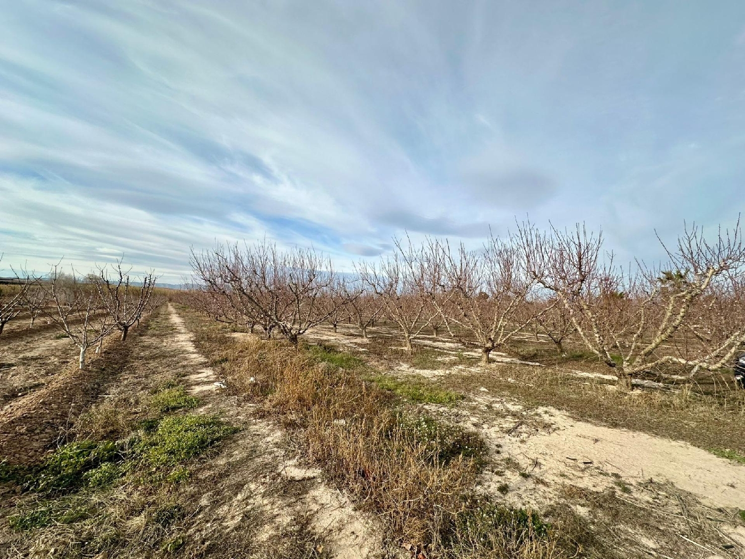 till salu tomt La Torre Vega Alta Del Segura 2