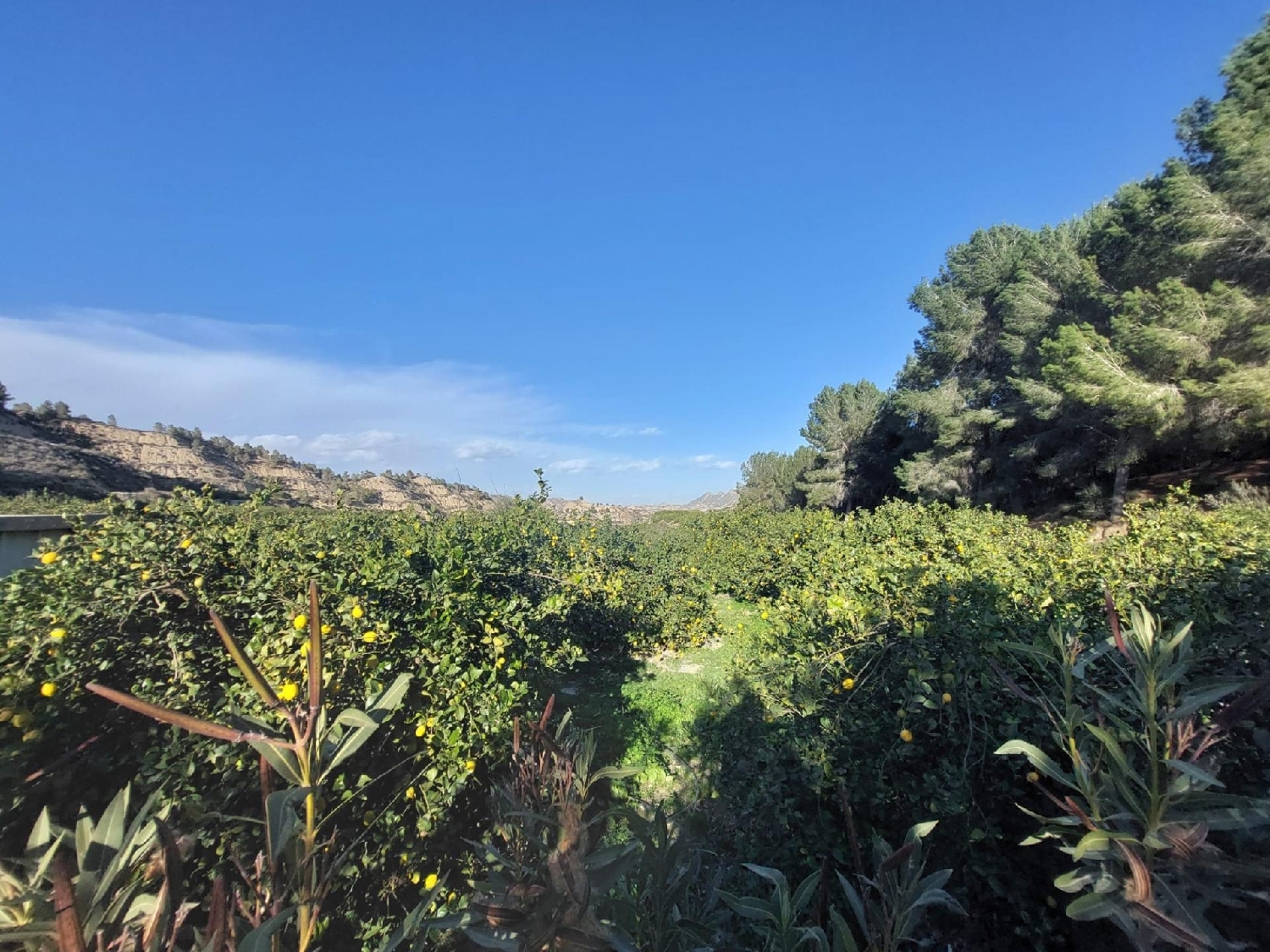  till salu tomt Lages Huerta De Murcia 1