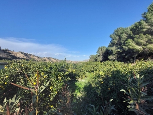 Lages Huerta De Murcia tomt foto 6223249