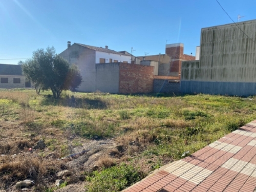 L''aldea Baix Ebre tomt foto 6250502