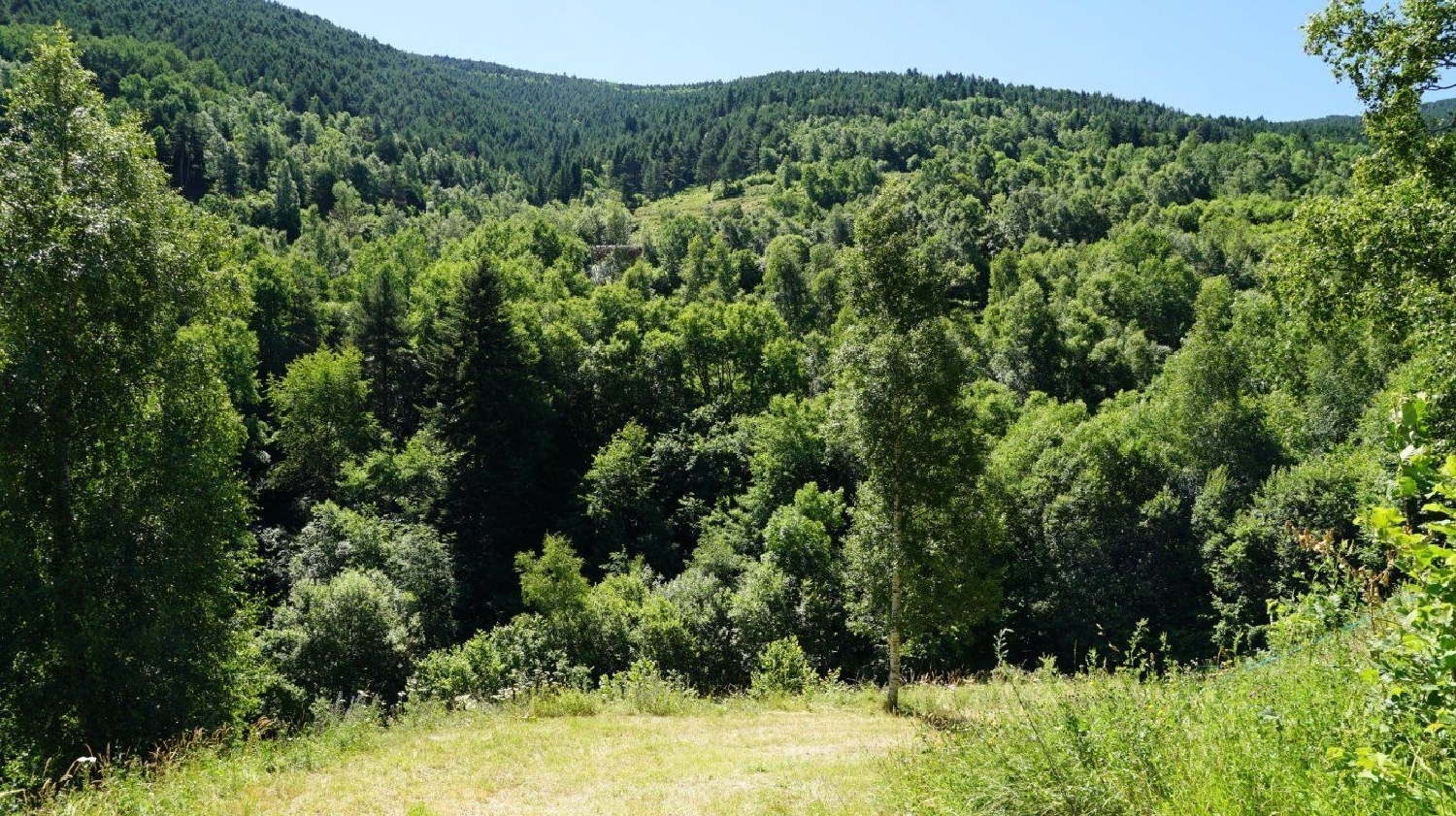 till salu tomt L'aldosa De La Massana La Massana 3