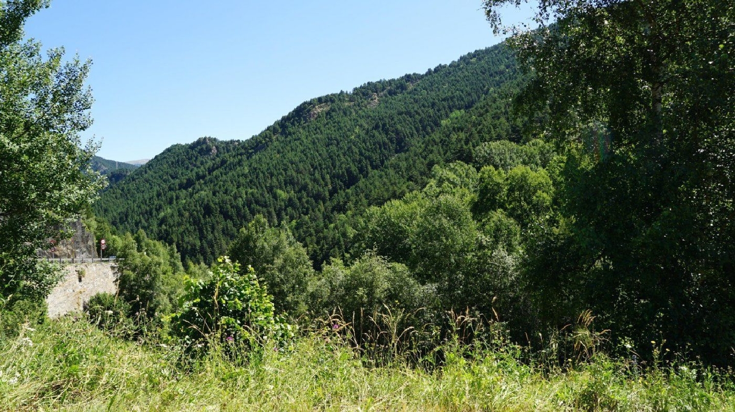  till salu tomt L'aldosa De La Massana La Massana 4