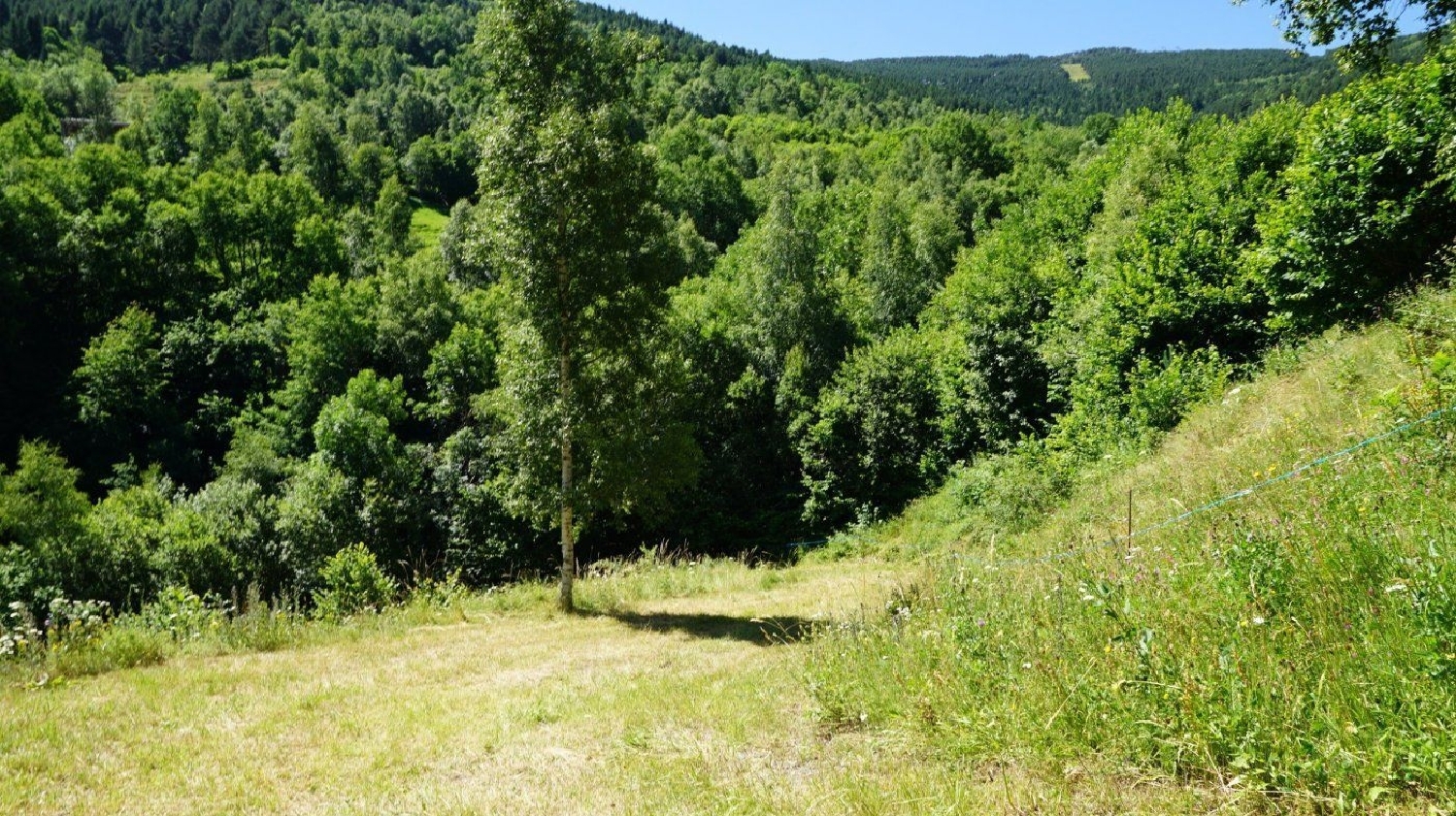 till salu tomt L'aldosa De La Massana La Massana 2