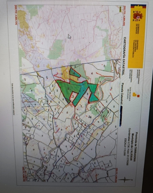 L''aleixar Baix Camp plot foto 6235885