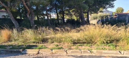 L''ametlla De Mar Baix Ebre tomt foto 6243504