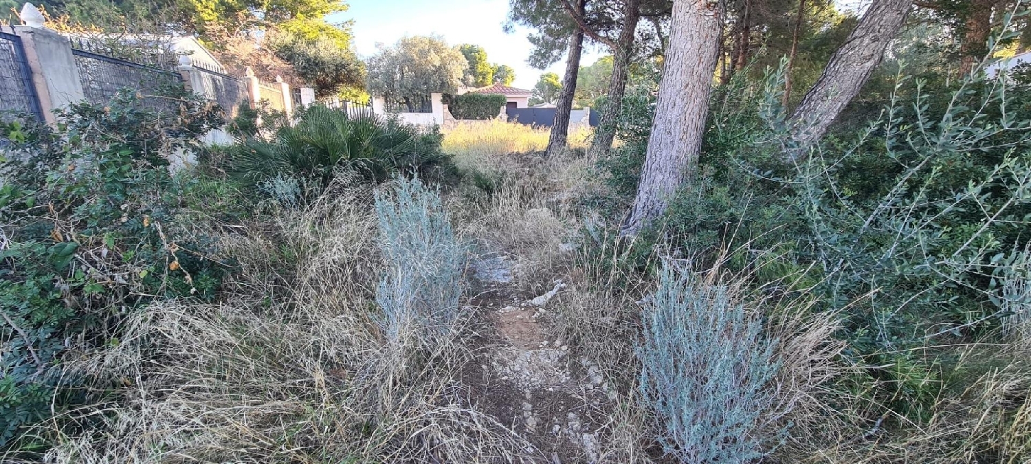  till salu tomt L'ametlla De Mar Baix Ebre 8