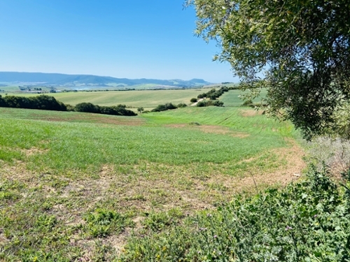 Las Abiertas Sierra De Cádiz tomt foto 6227808