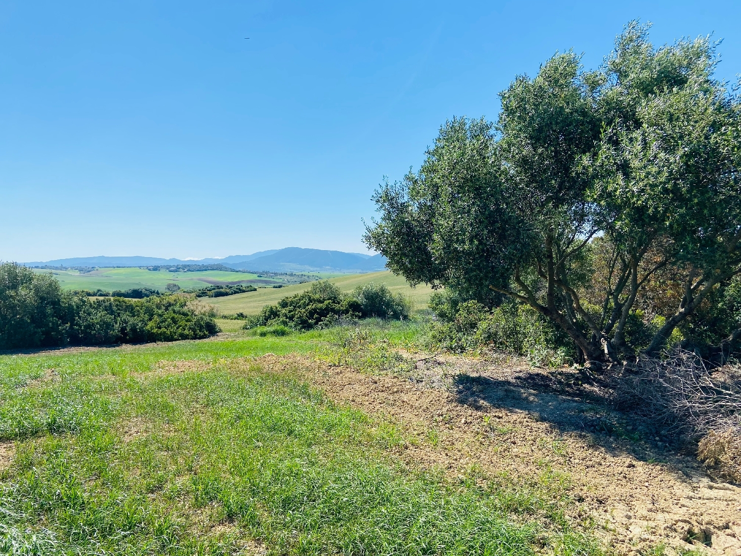 till salu tomt Las Abiertas Sierra De Cádiz 3