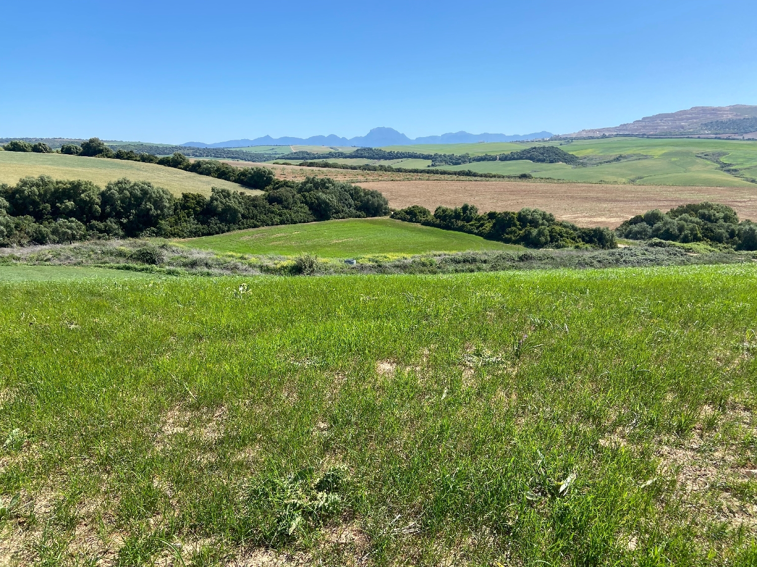  till salu tomt Las Abiertas Sierra De Cádiz 5