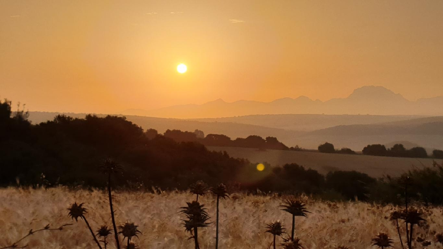  till salu tomt Las Abiertas Sierra De Cádiz 6