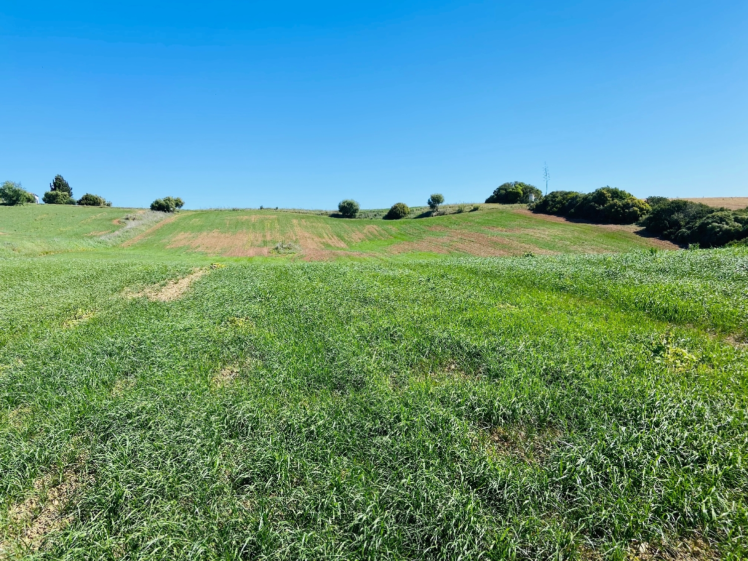 till salu tomt Las Abiertas Sierra De Cádiz 2