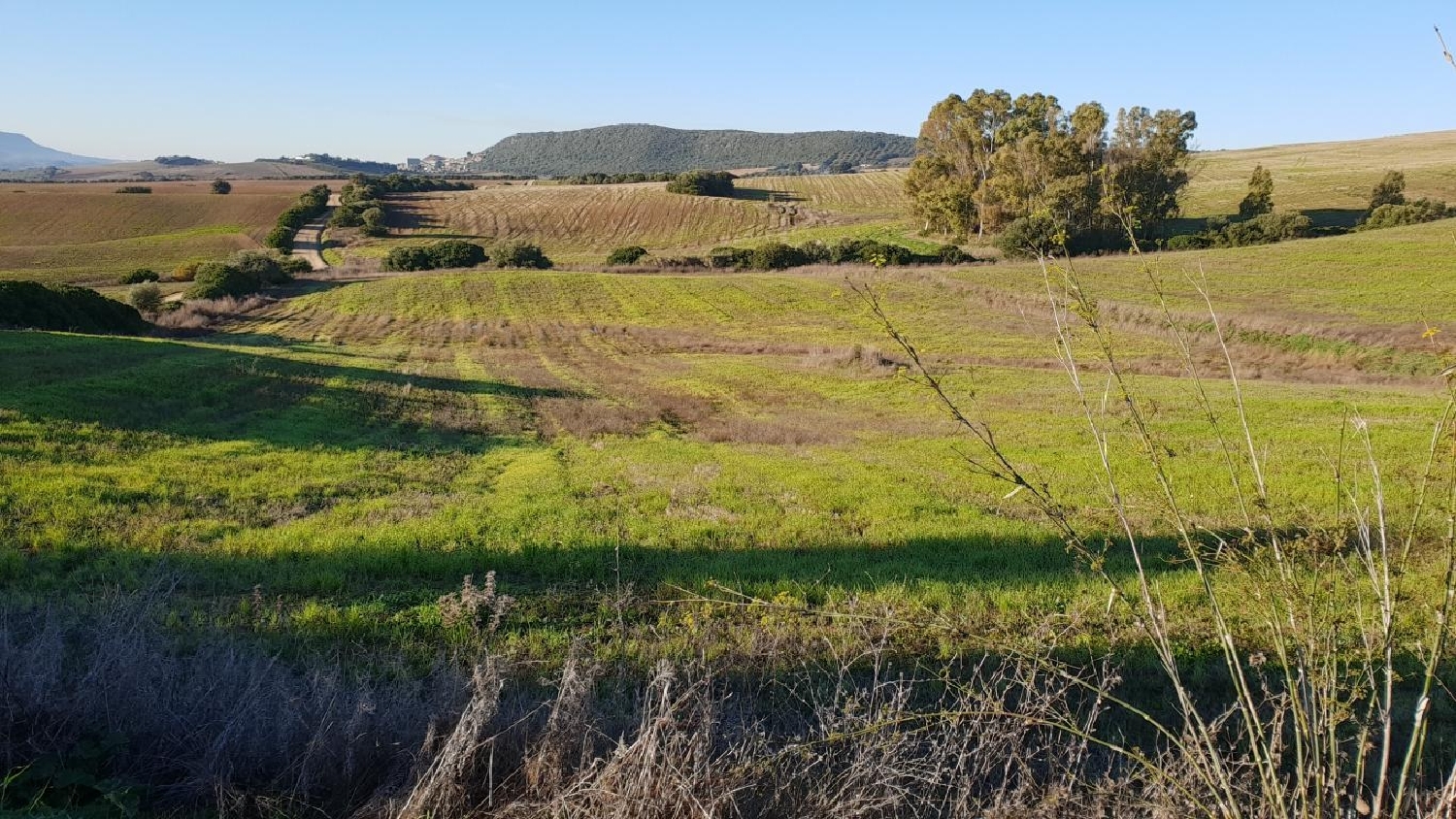 till salu tomt Las Abiertas Sierra De Cádiz 7