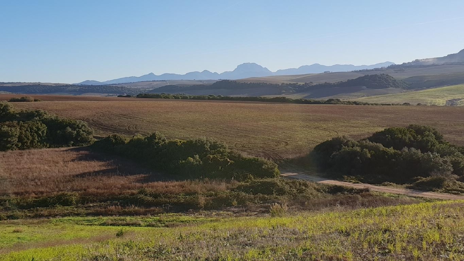  till salu tomt Las Abiertas Sierra De Cádiz 8