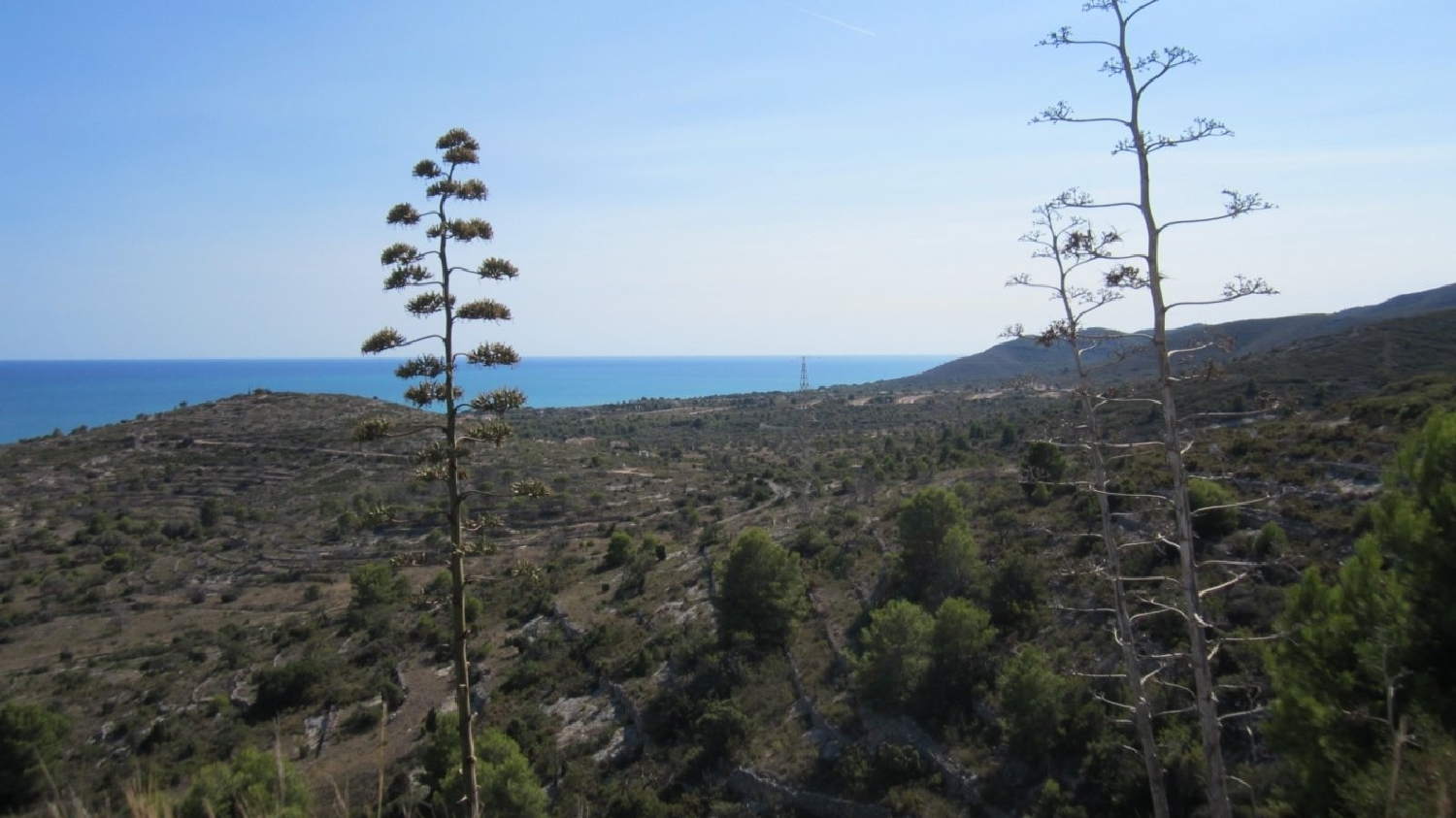  till salu tomt Font-Nova Baix Maestrat 4