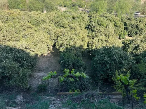 Játar Alhama tomt foto 6166018