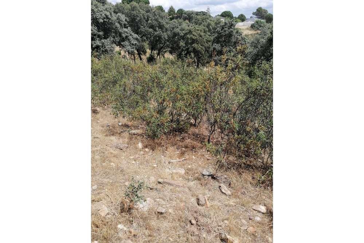  till salu tomt El Hospital Sierra Oeste 7