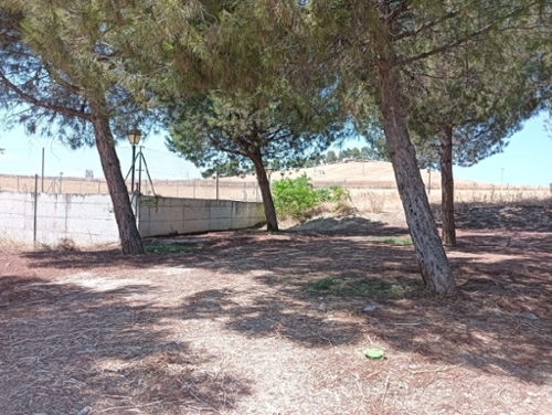 Las Infantas Metropolitana De Jaén tomt foto 6242896