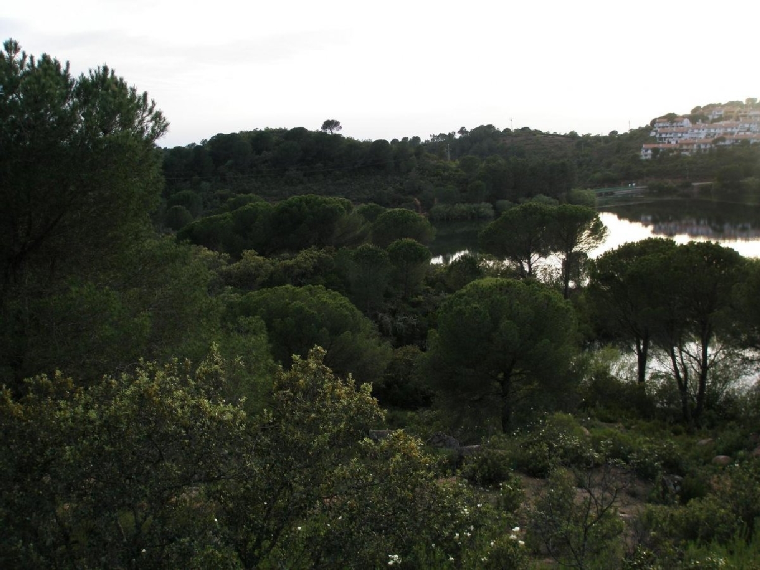  till salu tomt Las Jaras Córdoba 6