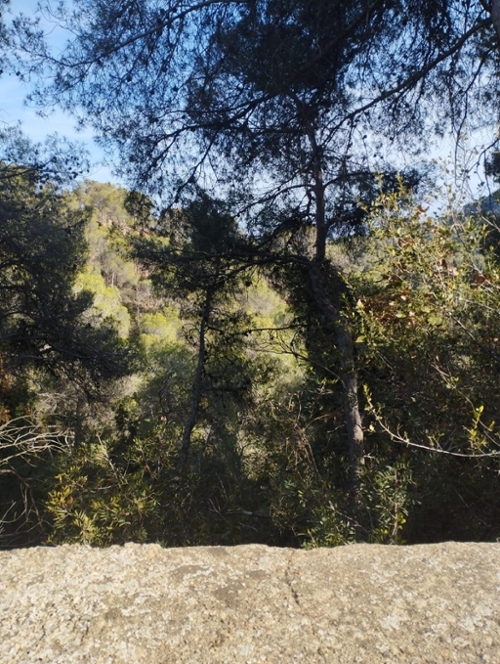 Las Lomas Camp De Túria tomt foto 6223471