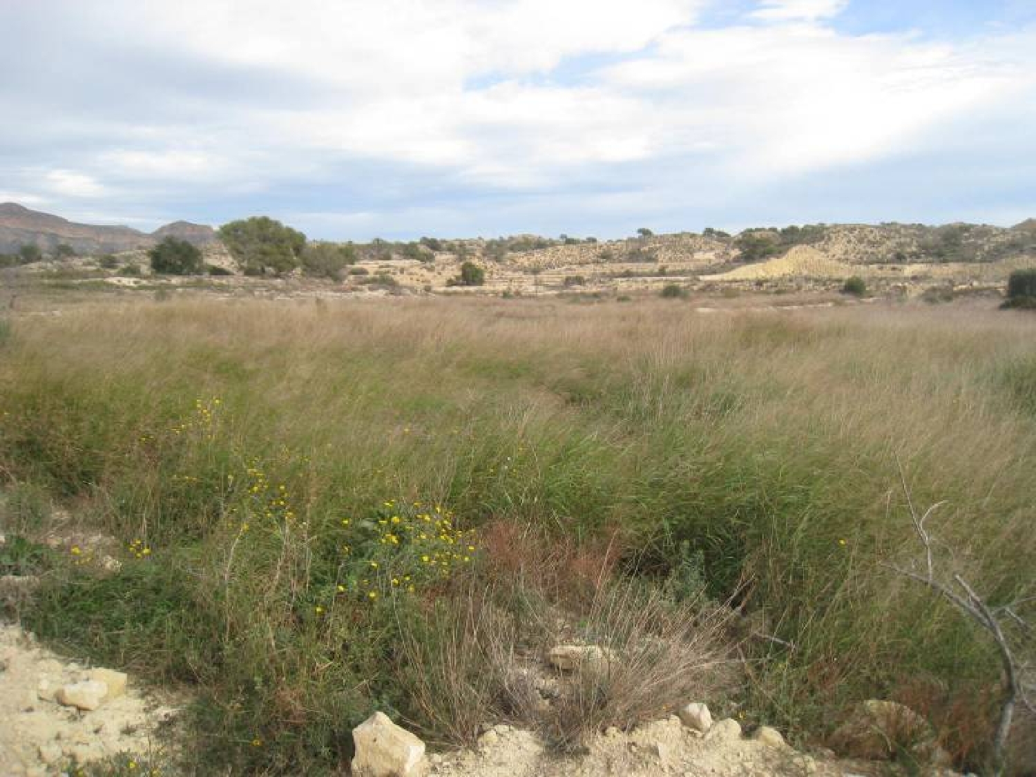  till salu tomt Las Norias Baix Segura 5