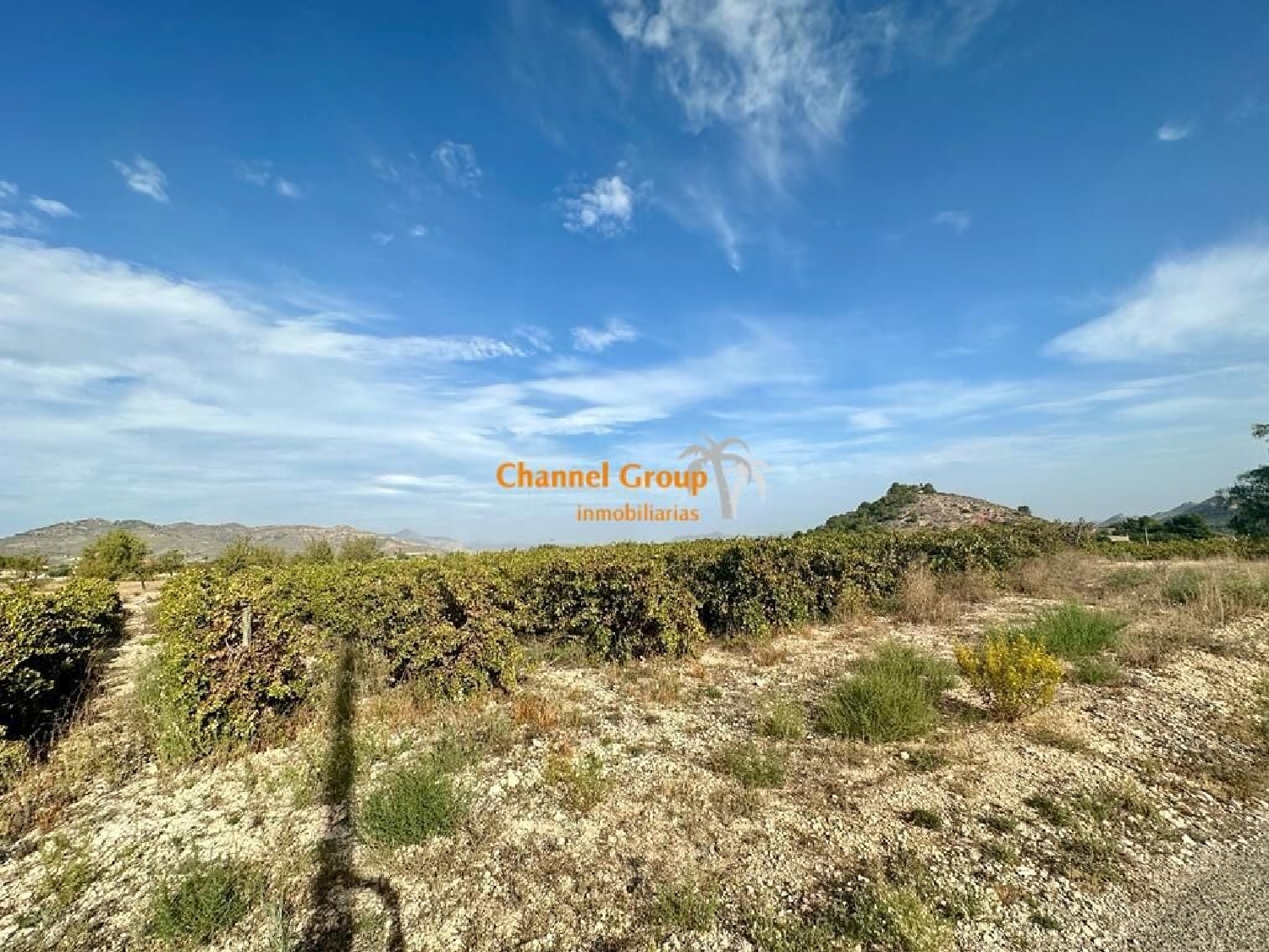 for sale plot Xinorlet Vinalopó Mitjà 2