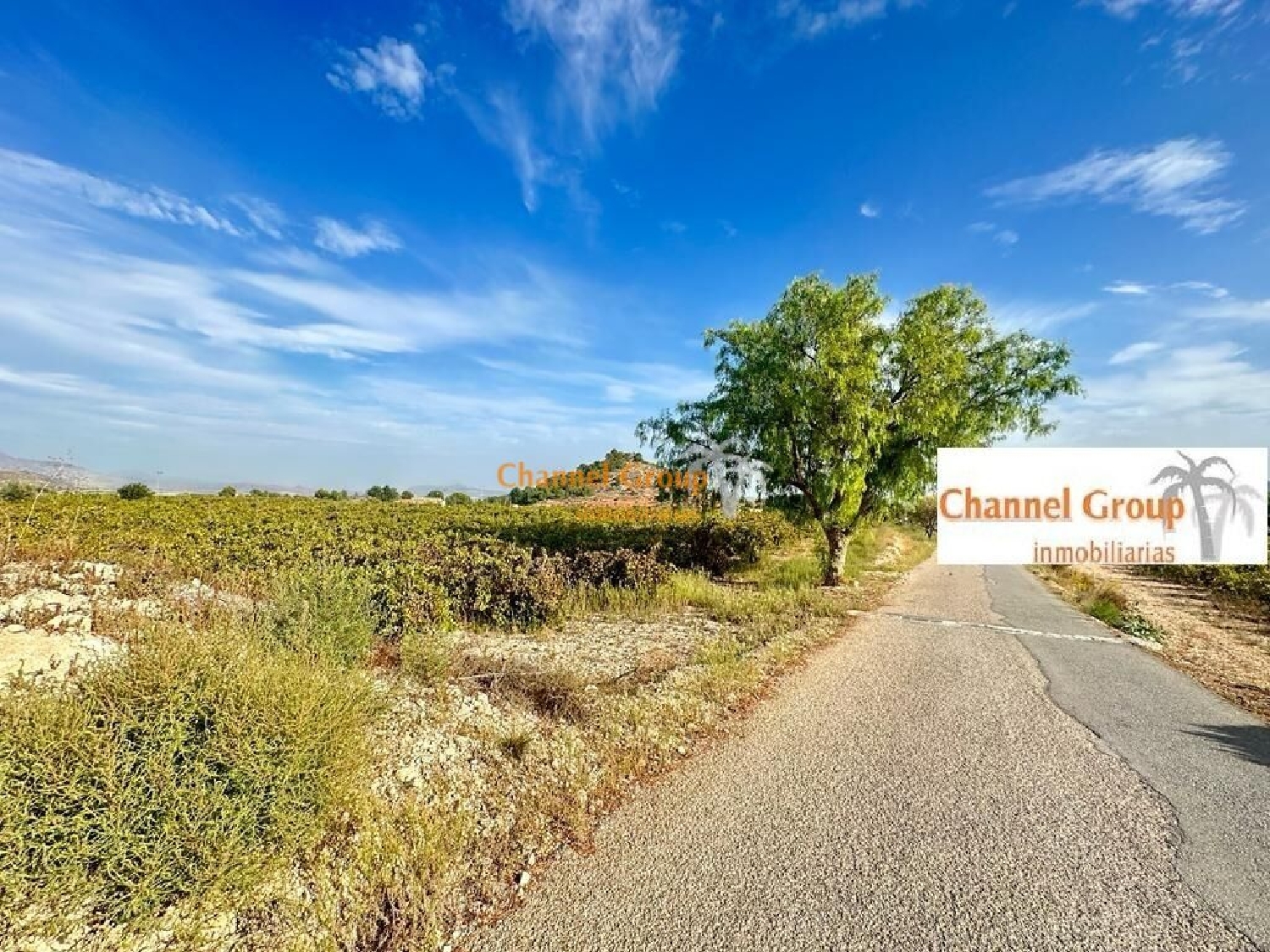 for sale plot Xinorlet Vinalopó Mitjà 3