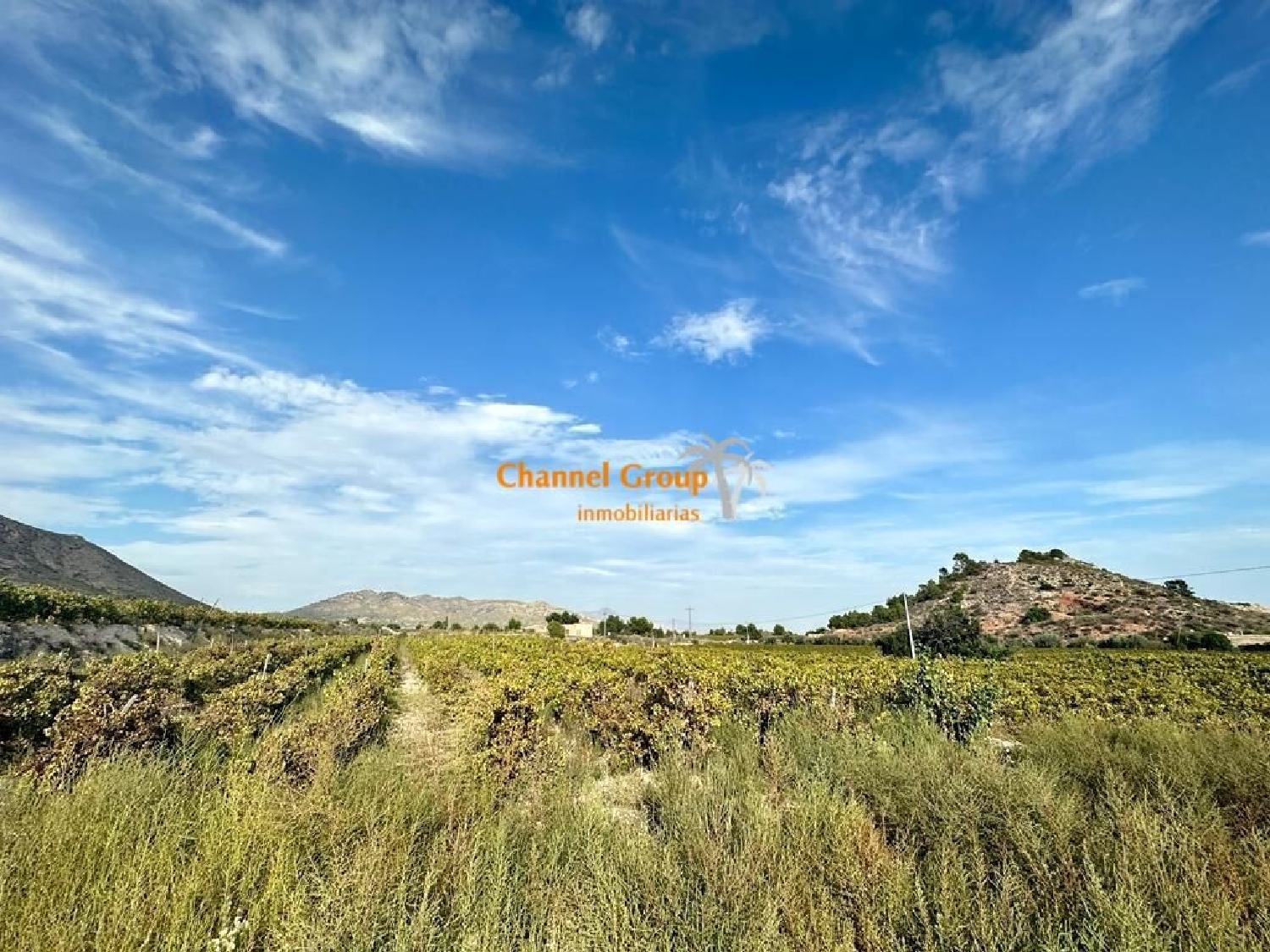  for sale plot Xinorlet Vinalopó Mitjà 1