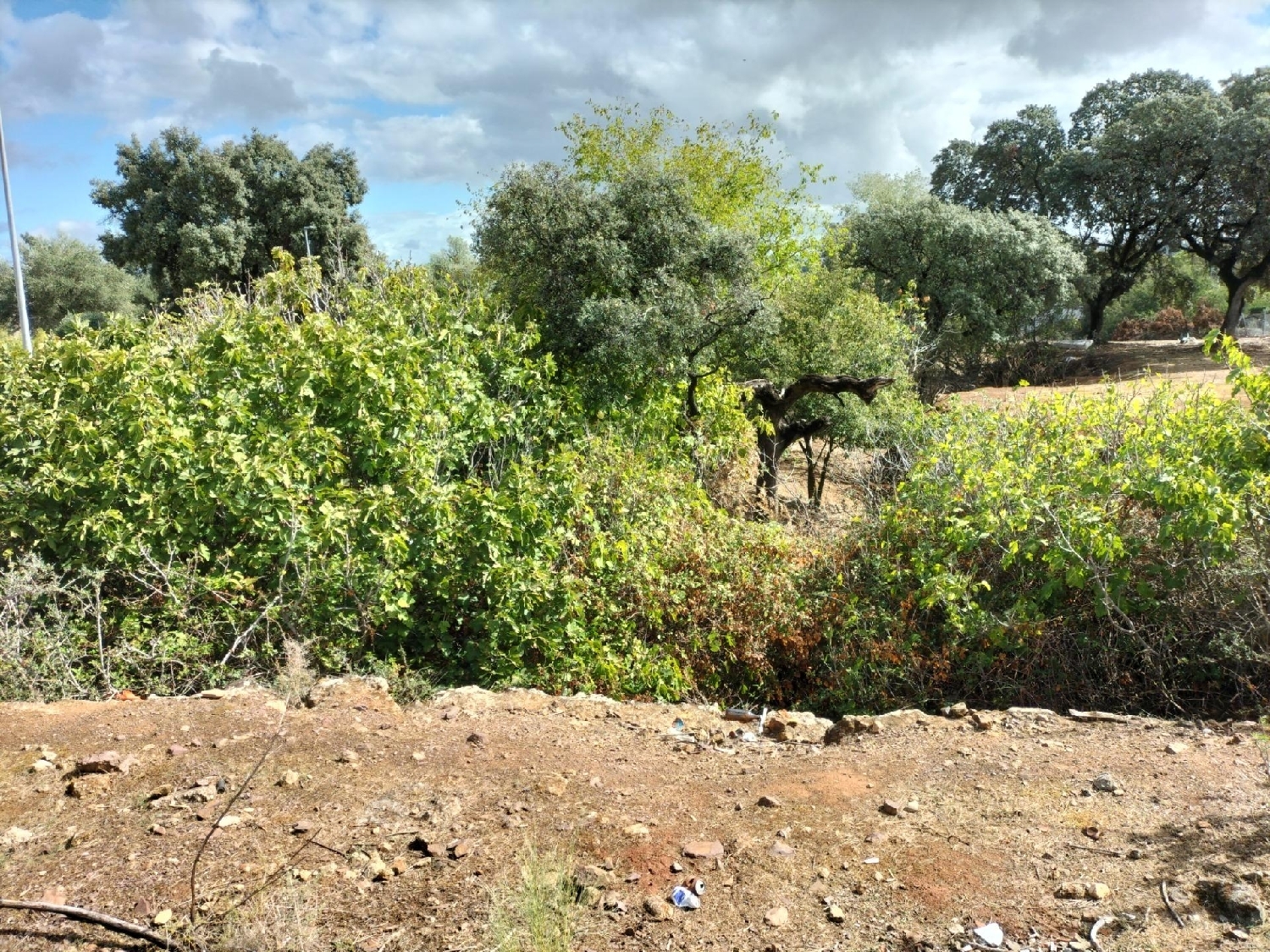 for sale plot Torreblanca Córdoba 2