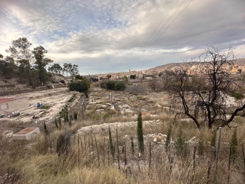 Las Ramblas Vega Alta Del Segura tomt foto 6251166