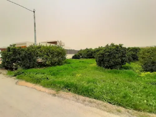 El Bojal Huerta De Murcia tomt foto 6183501