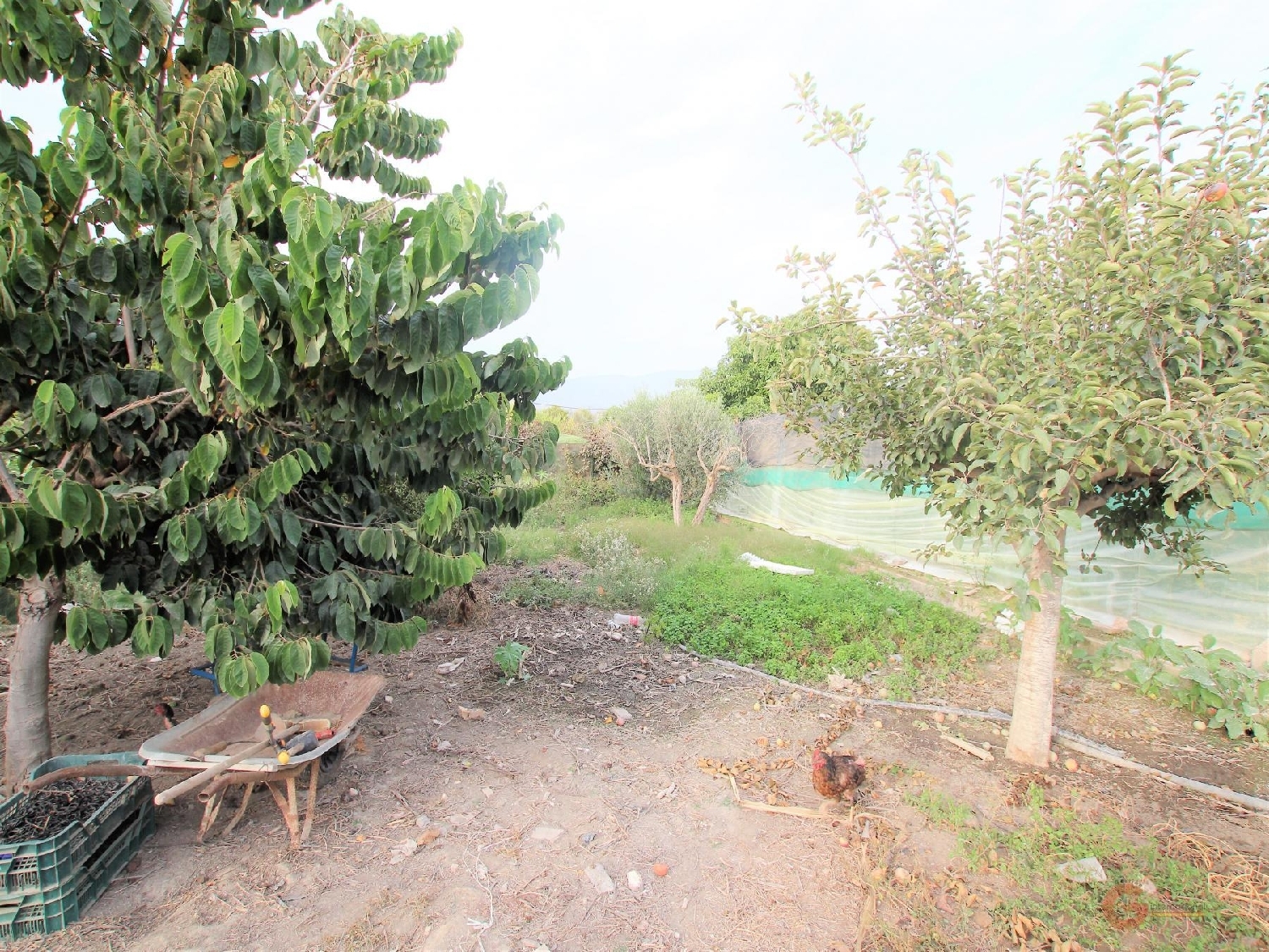  till salu tomt Las Ventillas Costa Tropical 5
