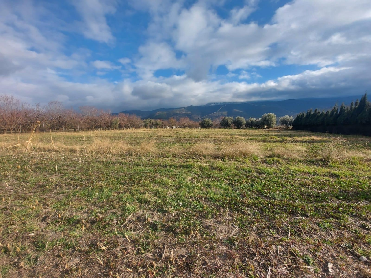  till salu tomt Láujar De Andarax Alpujarra Almeriense 8