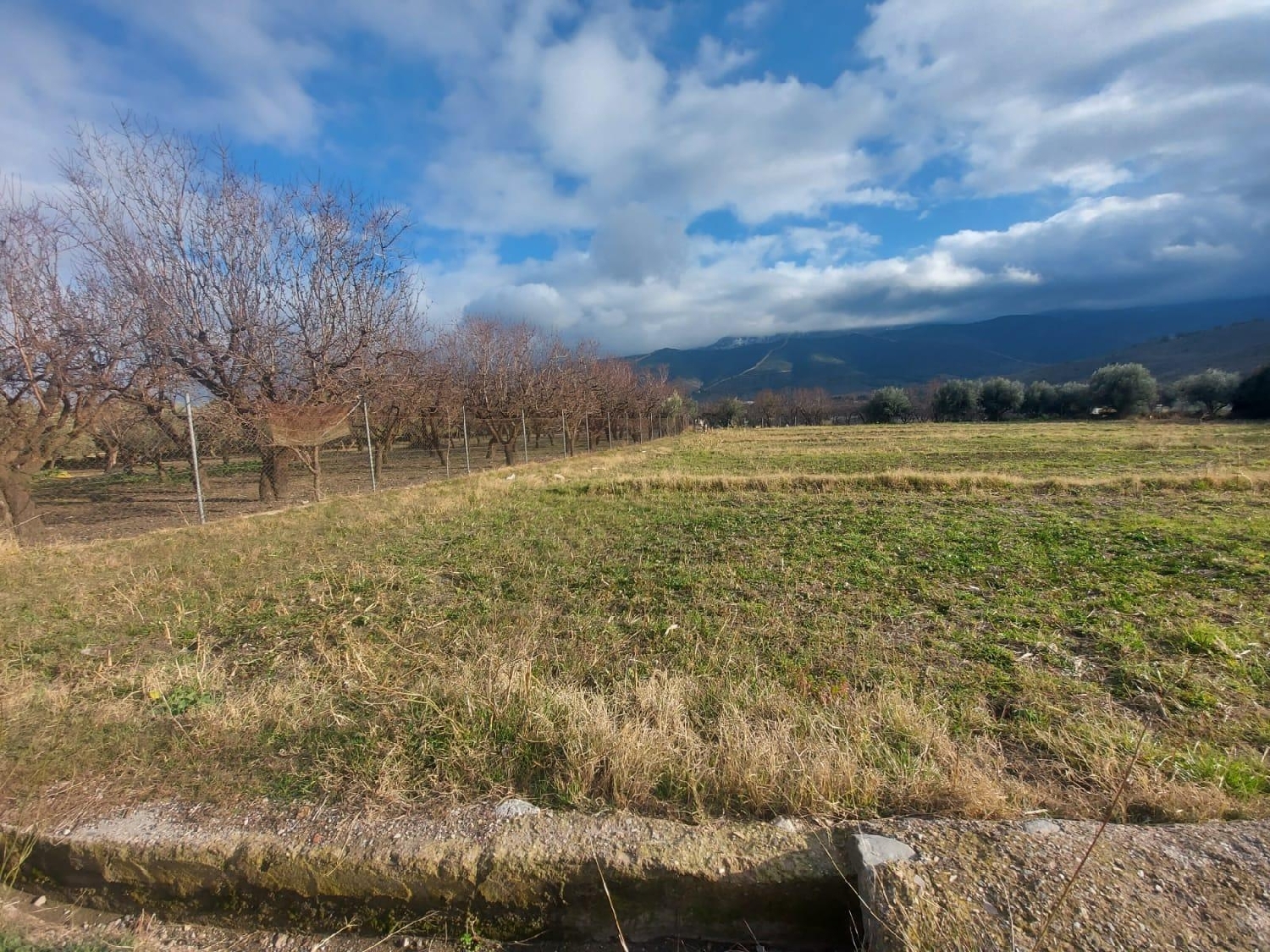  till salu tomt Láujar De Andarax Alpujarra Almeriense 4