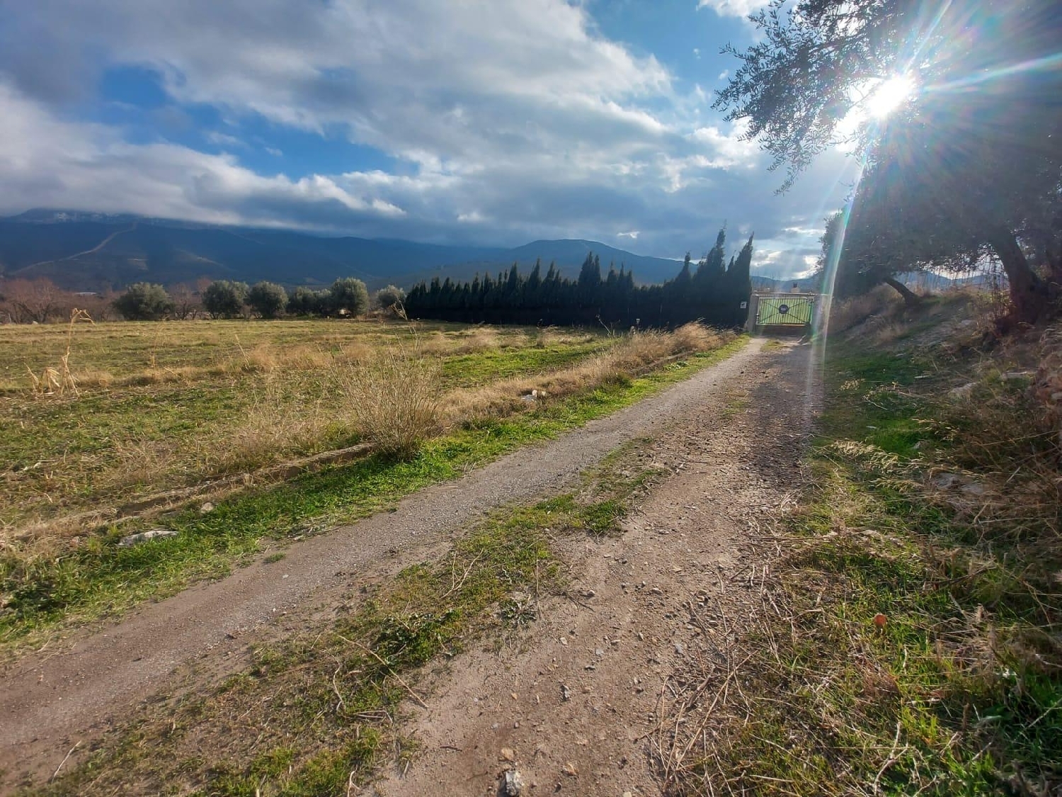  till salu tomt Láujar De Andarax Alpujarra Almeriense 5