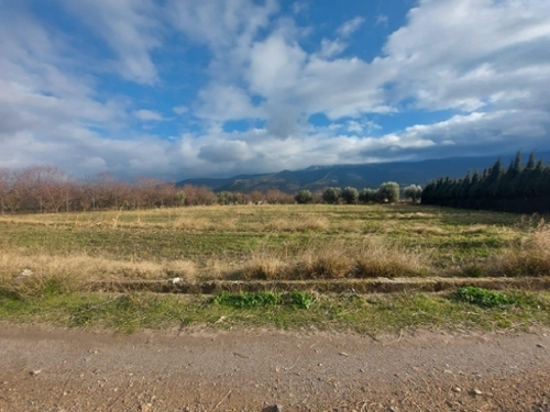 Láujar De Andarax Alpujarra Almeriense tomt foto 6236517