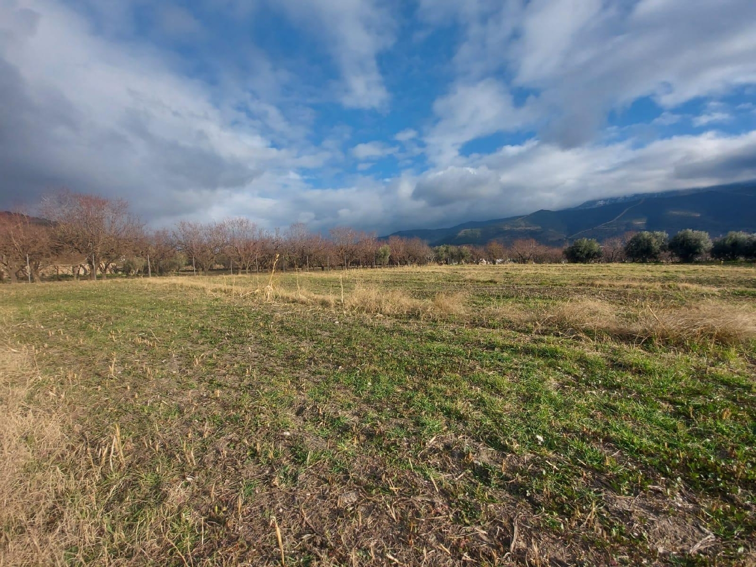  till salu tomt Láujar De Andarax Alpujarra Almeriense 7