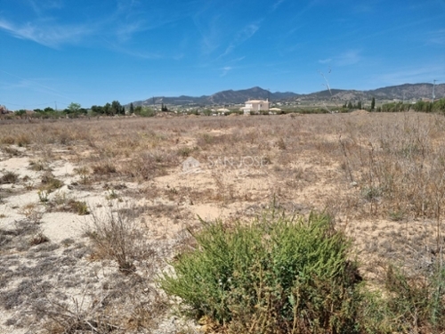 Lel Vinalopó Mitjà tomt foto 6227286