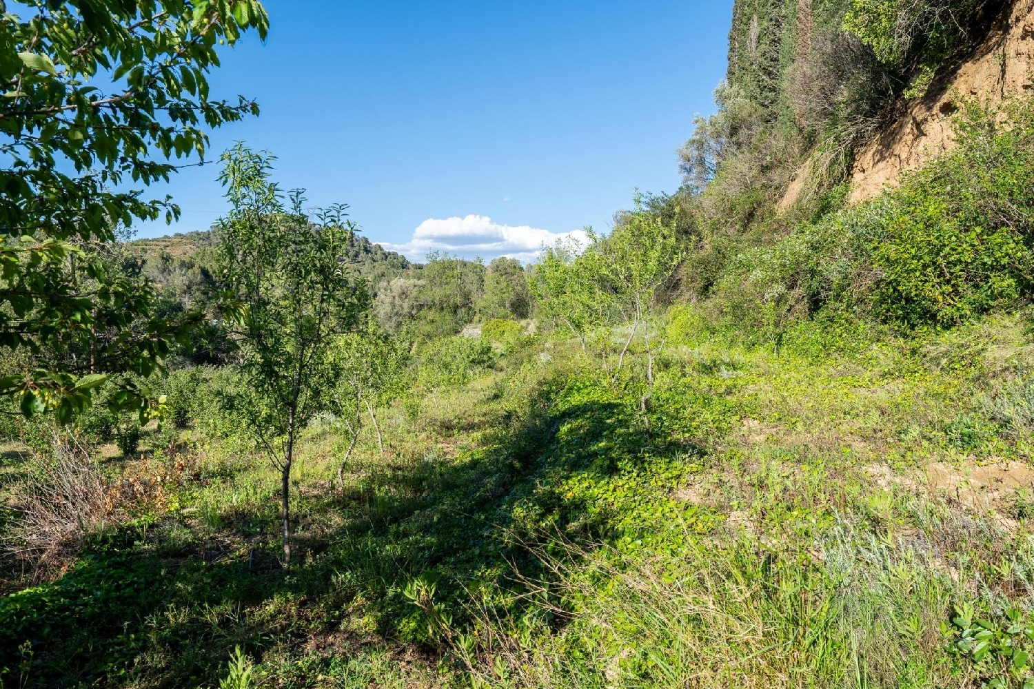  till salu tomt Les Borges Del Camp Baix Camp 7