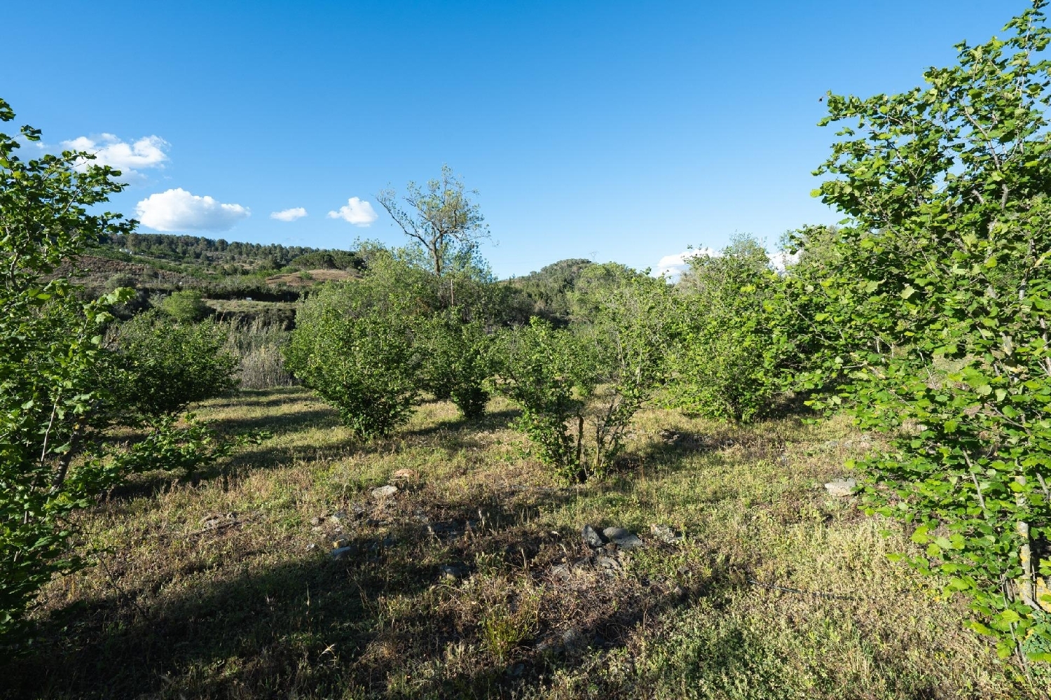 till salu tomt Les Borges Del Camp Baix Camp 6