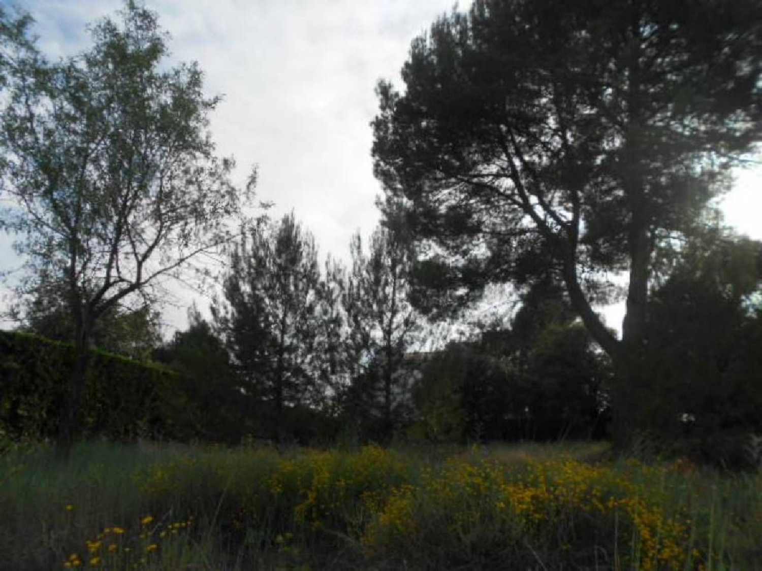  till salu tomt Les Brucardes Bages 8