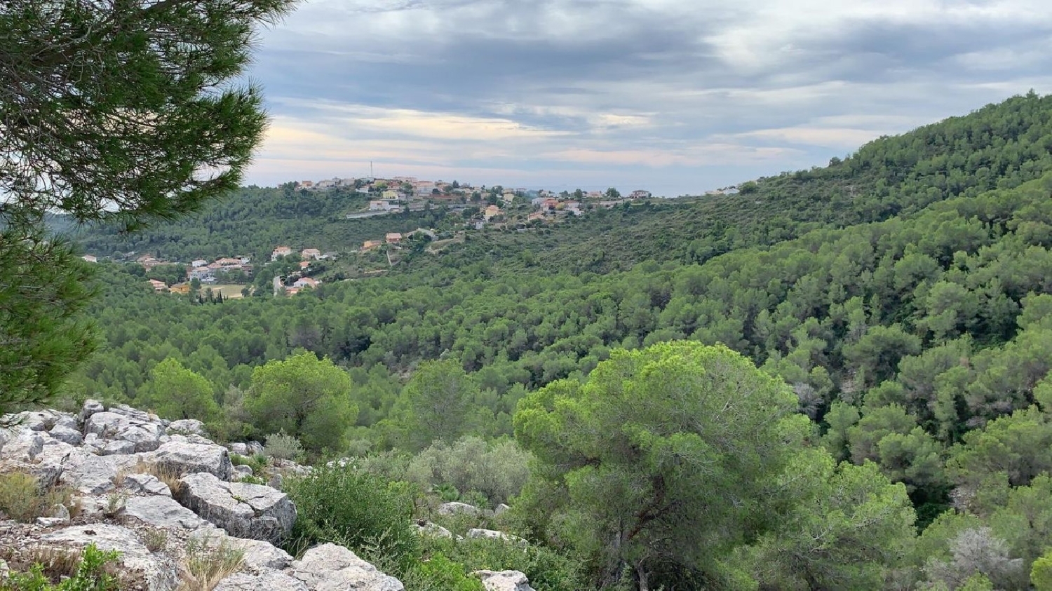  till salu tomt Les Casetes De La Gornal Alt Penedès 8